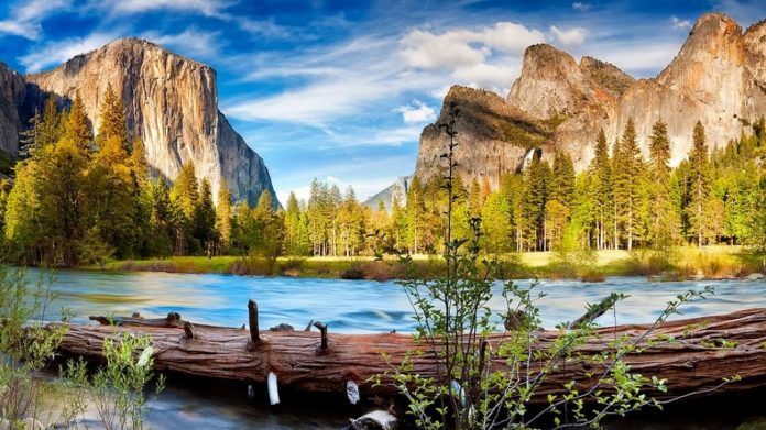 nature trees forests rivers yosemite national park 1920x1080 73948 scaled