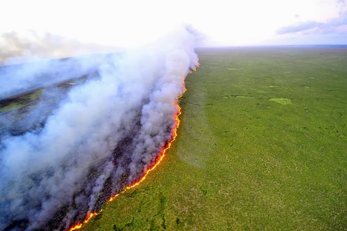 Band fire. Forest fires burned out of the reserve in Brazil