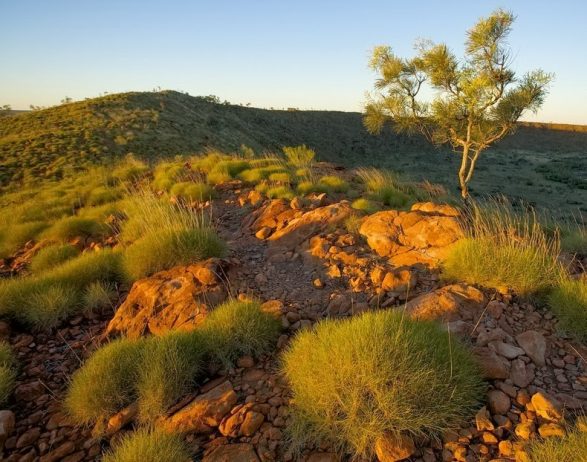 Wolfe Creek Crater is meteorite impact crater to be found in flat plains of northeastern edge of the Great Sandy Desert in Western Australia