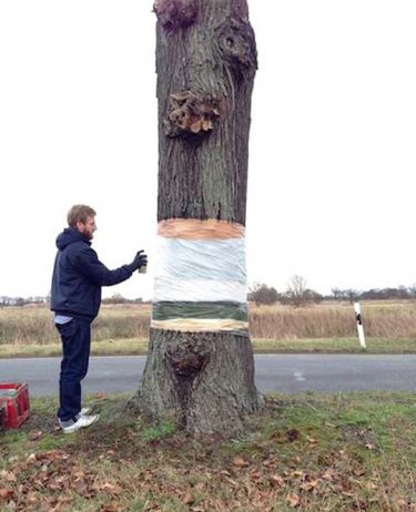 Puzzling Optical Illusion of a Hovering Tree Cut in Half3