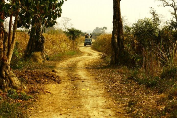 Kaziranga National Park India21