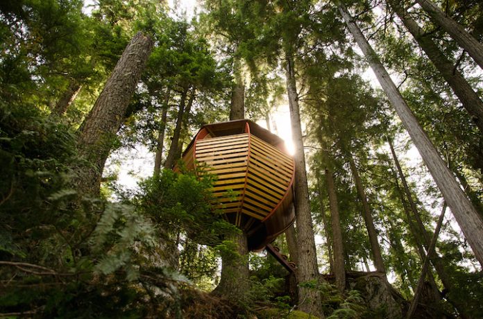 Egg-Shaped Tree House is Secretly Nestled in Canada's Woods2