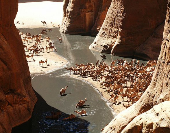 Guelta d'Archei (Photo: charismaticplanet.com)