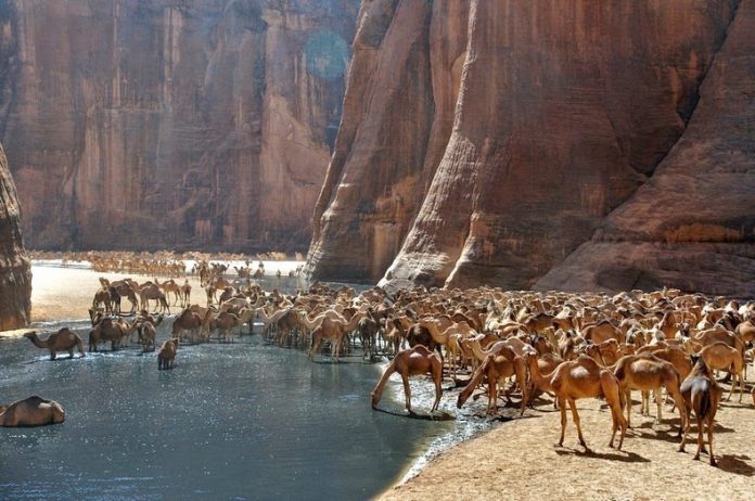 Image result for guelta d archei chad