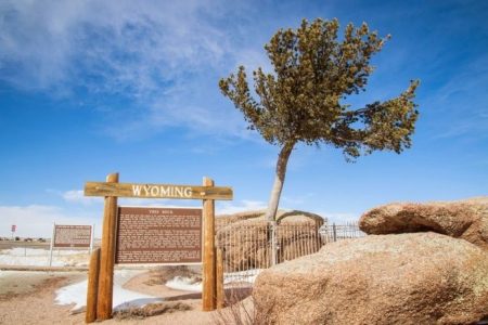 A Fascinating Natural Tree in the Rock of Wyoming