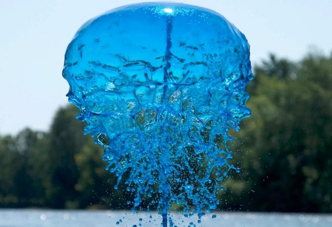 Remarkable Splashes Generates Colorful Liquid Creatures 71