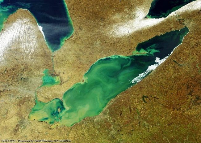 Lake Erie is the fourth largest of the five Great Lakes in North America, and the 11th largest lake in the world, in terms of surface area.
