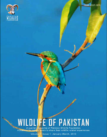 wildlife of Pakistan