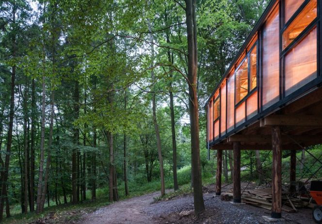 Architects Enlist Friends to Support Building Secluded Studio in the Forest