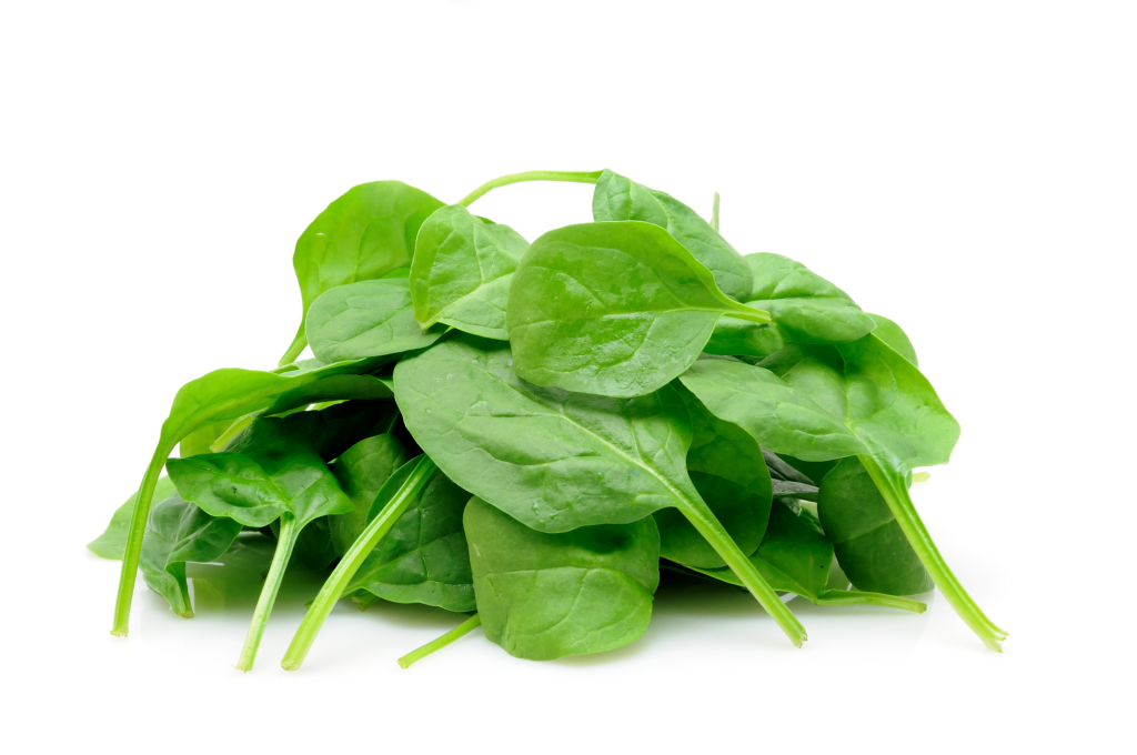 Spinach; How to Grow the World's Healthiest Foods Charismatic