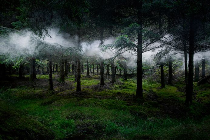 surreal forest photograhy ellie davis 13 880