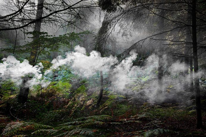 surreal-forest-photograhy-ellie-davis-9__880