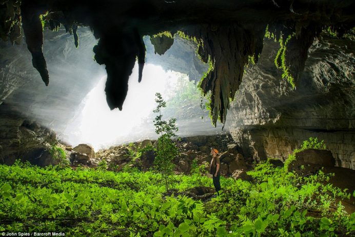 Sunlight streams into the mist-filled fossil passage near the sink of the Xe Bang Fai River. This section supports a verdant garden of ferns and other low light plants