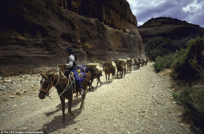 The Havasupai Tribe is the Smallest Indian Nation in 