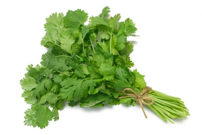 Coriander or Coriandrum Sativum is a Hardy Annual Herb. This has upper leaves that look like dill and lower ones that look like parsley, but it also has a pungent flavor all its own.