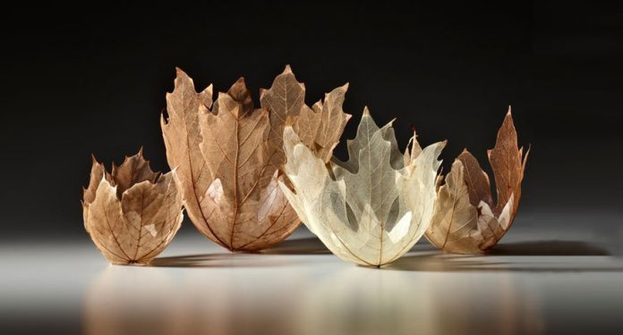 leaf-bowl-art-kai-sekimachi-9