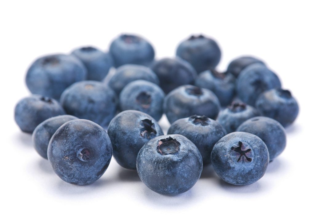 Blueberries - A Super Fruit, Everyone Like to Grow