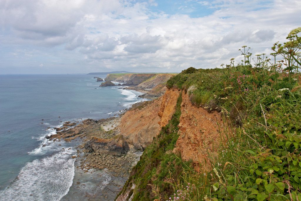 A Coastal Cliffs face provides a rare opportunity to see the rocks that lie beneath the springy seaside turf.
