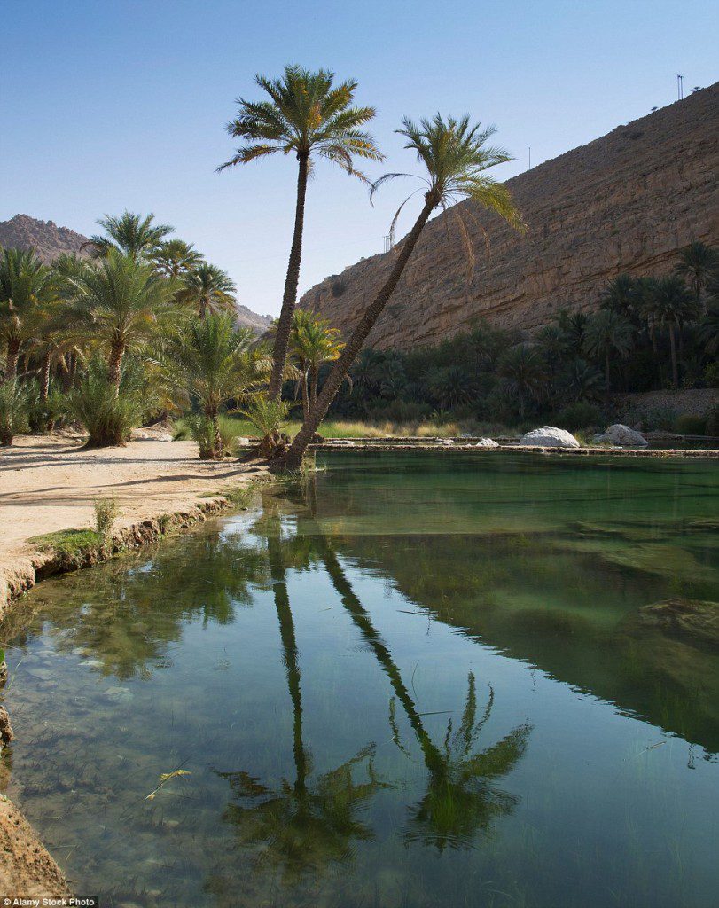 The Wadi Bani Khalid (above) is an oasis in the desert and is filled with huge amounts of water during the short cool weather period