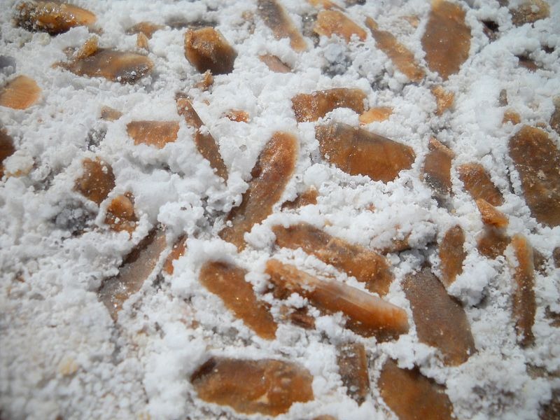Selenite crystals dug up from the lake bed. Photo credit Neal at Flickr