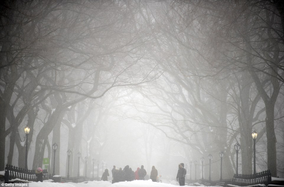 Visitors brave the driving winds and heavy snowfall to take a stroll through Central Park on Saturday afternoon