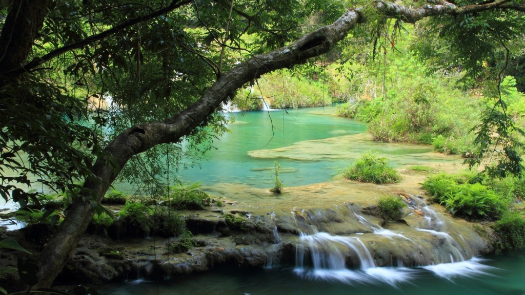 Semuc Champey, which in the language of the Maya means “sacred water,” and another name for it might well be heaven. 
