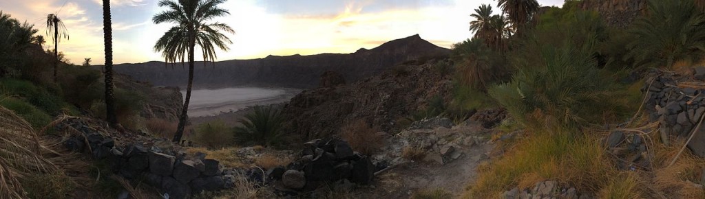 The Al Wahbah crater is home to beautiful palm trees and shrubs.