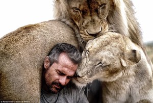 Incredible Photographs Show the Bond between a Man and Pride in Big Cats