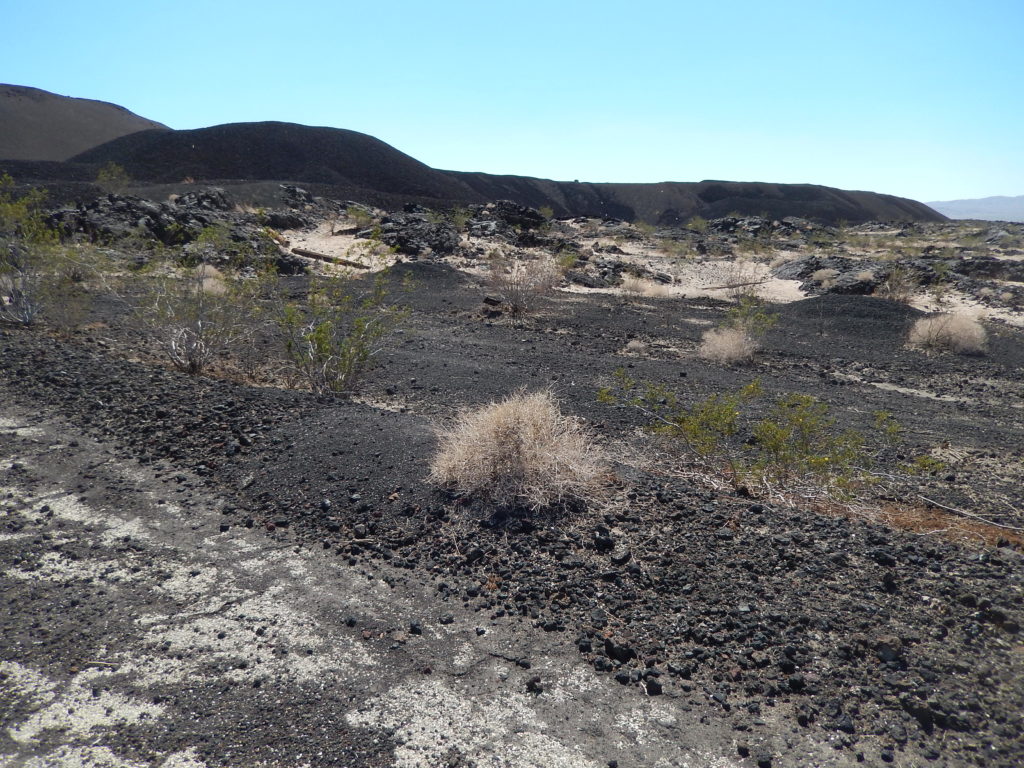 The lava found around the volcano consists of a'a and pahoehoe, with considerable concentrations of olivine, plagioclase and rich amounts of gypsum can be found coating rocks near the cinder cone. 