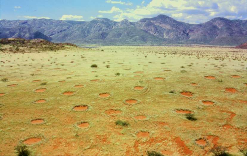 Fairy circles in Namibia's Marienfluss valley