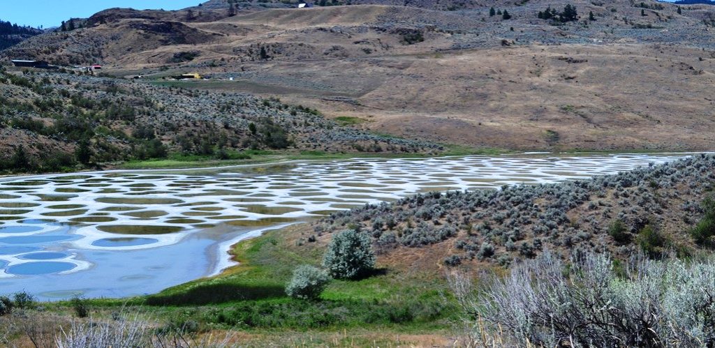 The ameoba-shaped Spotted Lake, changes colors throughout the year and during the summer time divides itself into white, green, blue and yellow pools. 