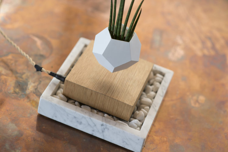 Magnetized Planters