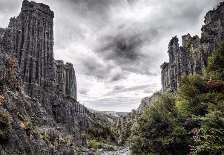 The Putangirua Pinnacles are large crumbly rock stalagmite type structures rising tens of metres into the air, left behind as the surrounding area erodes. 