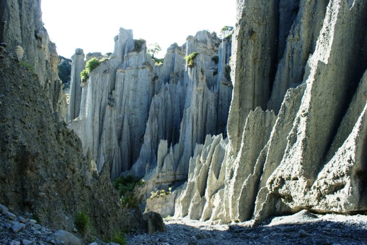 The Putangirua Pinnacles are one of New Zealand's best examples of badlands erosion. 