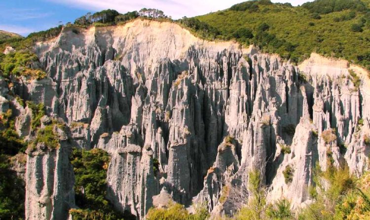 However at several places, the conglomerate is secure from erosion above by a cap of cemented silt or rock, resulting in the formation of amazing Pinnacles. 