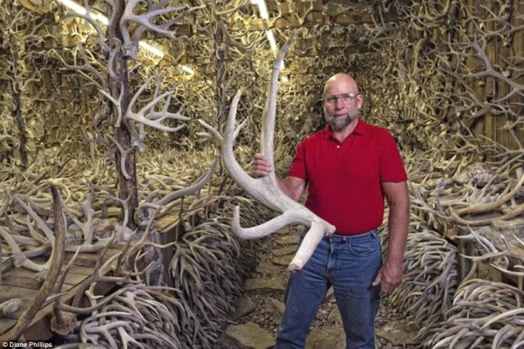 James Phillips, the man behind the bizarre horde, is pictured here holding one of his largest specimens