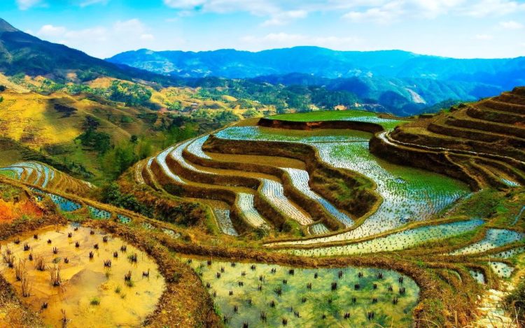 The Banaue Rice Terraces are approximately 2,000-year-old terraces that were beautifully carved into the mountains of Ifugao in the Philippines 