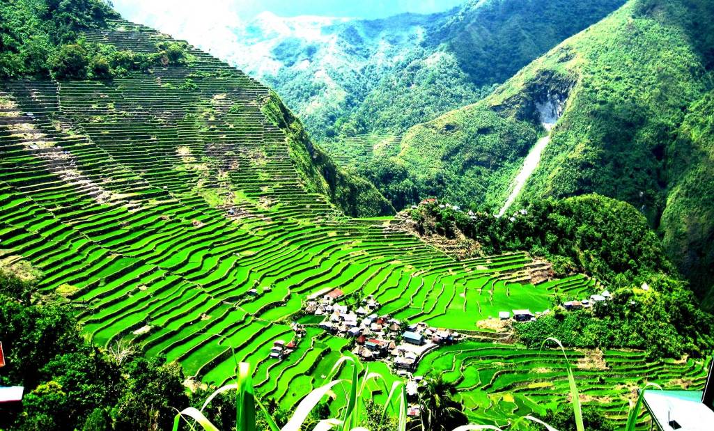 The Banaue Rice Terraces of Philippines