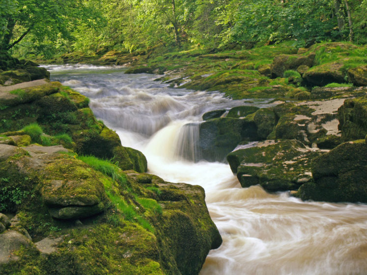 The human nature assume, they can jump the creek, walk across in the stone, or even wade through it, so most of time, the attempt gets in vain and they lost in Strid. 