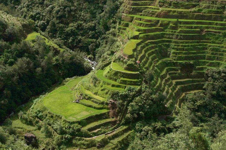 Moreover, tourism is another industry which is thriving in the Banaue Rice Terraces, developed number of activities for visitors. 