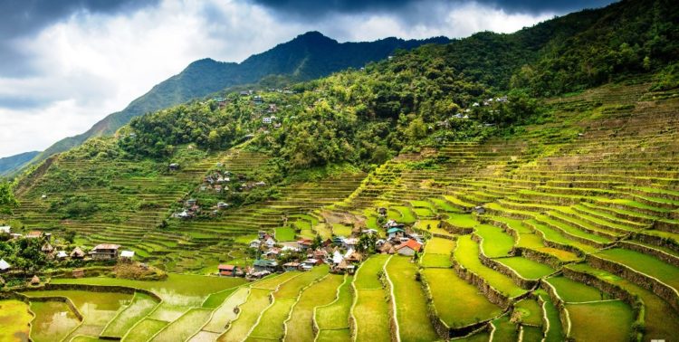 the most prevalent place to look at the rice terraces is called the “Sunrise Viewpoint”, where local Igarot tribe’s people pose for photographs and sell wood carvings.