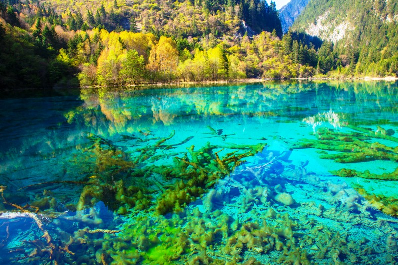 Five Flowers Lake also called the Wuhua Hai Lake is located in China’s Wuhua Jiuzhaigou National Park.