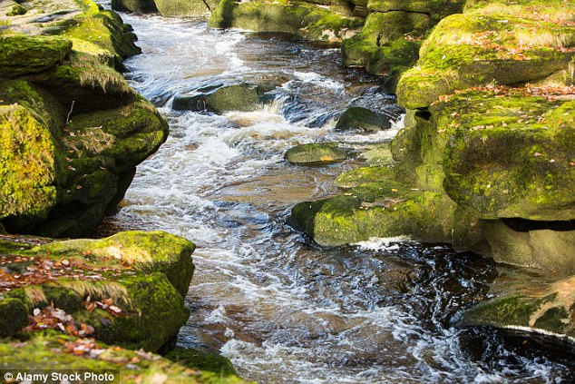 The thin gap on the Strid is only an illusion as both banks are extremely undercut, unseen underneath is a network of caverns and tunnels that hold all of the rest of the river's water.