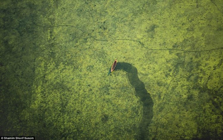 This image of an unoccupied boat drifting away in a lake around five hours east of Dhaka is called 'Signature'