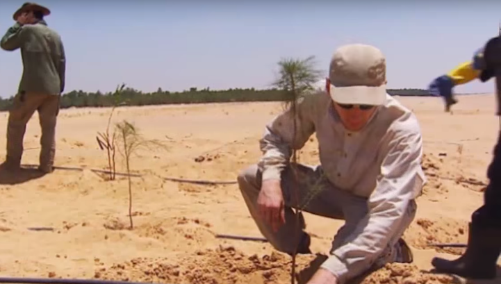 German scientists have collaborated with the Egyptian government to create a natural miracle by using ingenuity assisted by biology, the Serapium Forest in the middle of the desert, just two hours from Cairo.