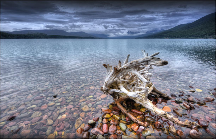 The rock color is determined by the presence or absence of iron and the bright red rocks found along the Grinnel Glacier trail were deposited in a shallow ocean environment where the iron was oxidized by the tidal exposure to the air. 