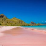 It might seem like a trick of the light but it's in fact caused by a micro-organism. Above, Pink Beach on Padar Island in Indonesia's Komodo Flores