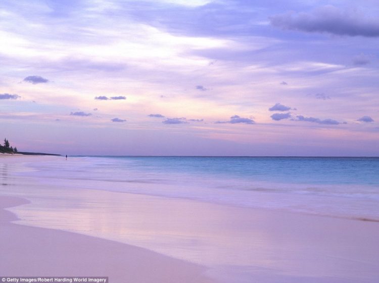 One of the most famous example of the phenomenon is Pink Sands Beach, a three-mile long stretch of sand on Harbour Island in the Bahamas