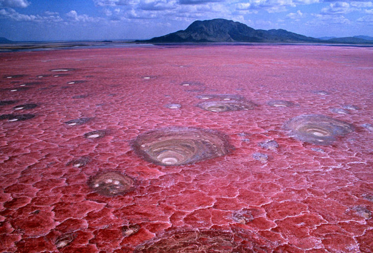 Tanzania’s Lake Natron a salt lake fed by mineral-rich hot springs that is the only regular breeding area in East Africa for the 2.5 million lesser flamingoes