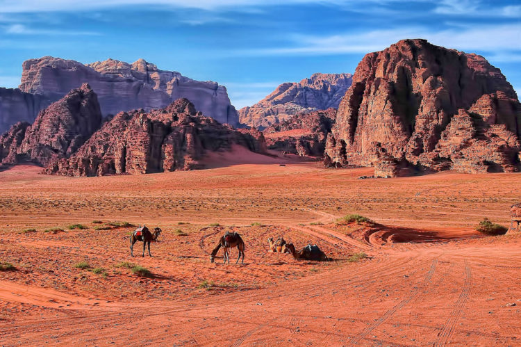 The Wadi Rum (pictured) is also known as the Valley of the Moon, distinctive for its sandstone mountains and barren landscape